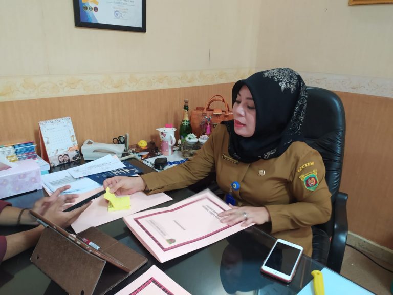 Sistem Informasi Pelayanan Publik, Irmina Idang : Bisa Monitor Pekerjaan