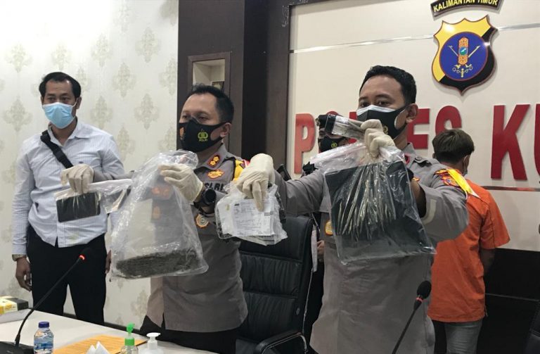 Dapat Kiriman Paket Ganja, Residivis Kasus Narkotika Diamankan Sat Resnarkoba Kutim