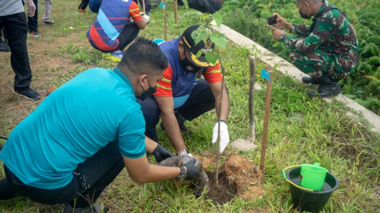 Peringati HPN, Plt Bupati Tanam Pohon di Folder Ilham Maulana