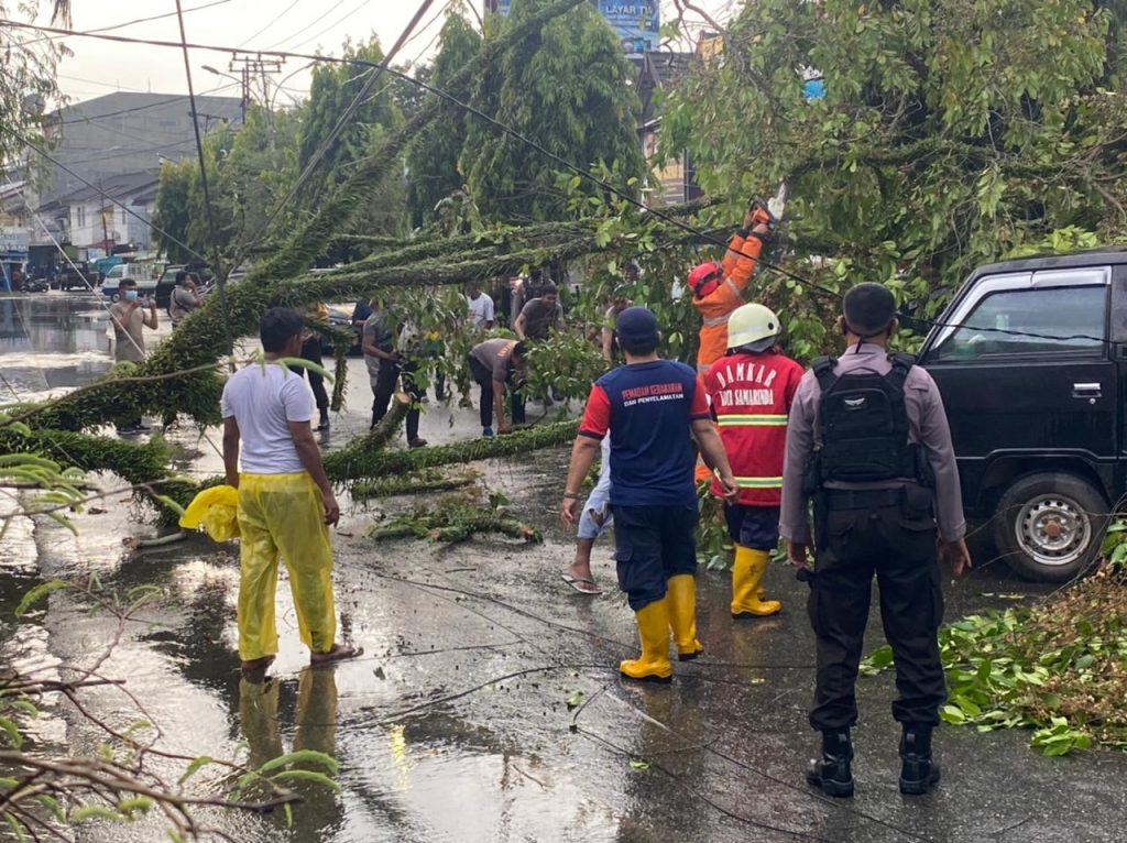 Hujan dan Angin Kencang Akibatkan Pohon Tumbang Menimpa Mobil
