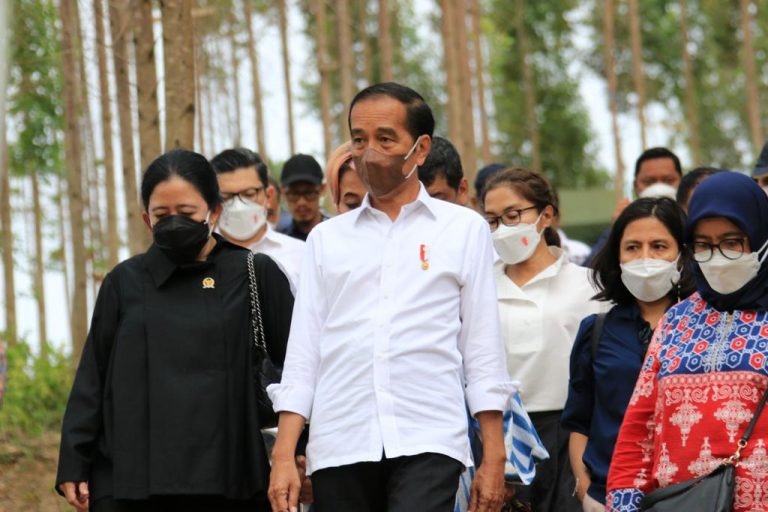 Kunjungi IKN, Presiden Tetap Komitmen Isu Lingkungan