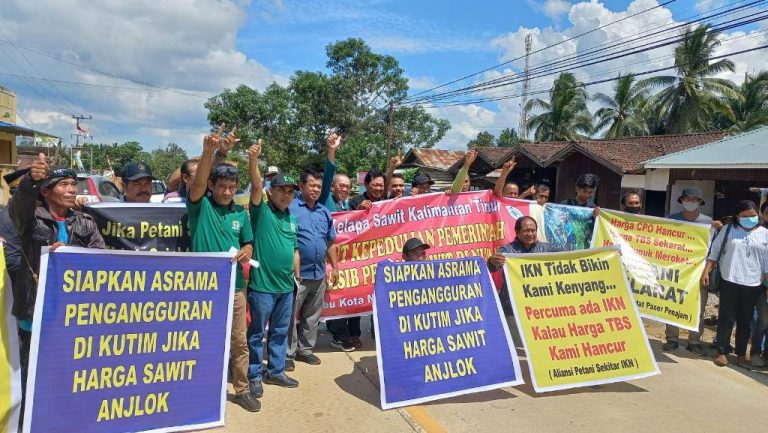 Delapan Tuntutan Para Petani Sawit