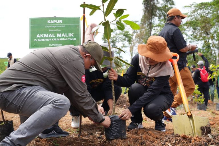 Sekda Sri Apresiasi Penanaman Serentak di IKN