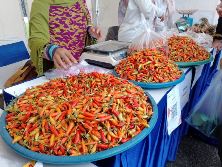 Melonjak Drastis, Harga Cabai di Samarinda dan Kubar Tembus Rp100 Ribu