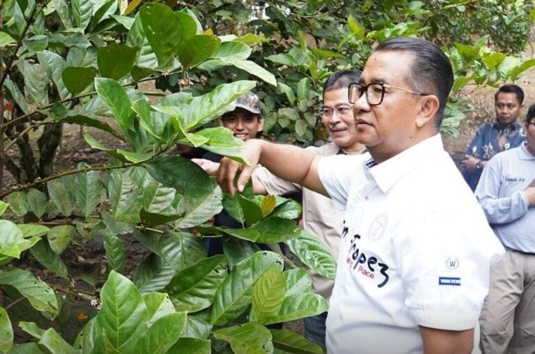 Akmal Sarankan Kopi Liberika Samarinda Cari Pasar Potensial Baru