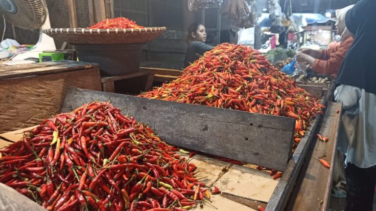 Jelang Nataru, Harga Cabai di Pasar Segiri Samarinda Turun Tipis