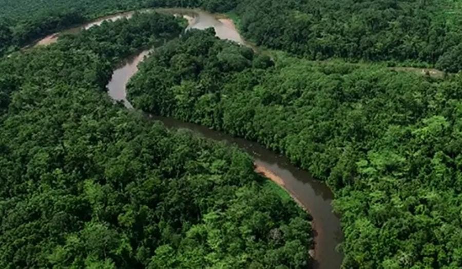 Bencana di Sumatera Jadi Peringatan, Kaltim Tegaskan Komitmen Jaga Hutan dan Tekan Deforestasi
Telah dibaca : 920 Kali.