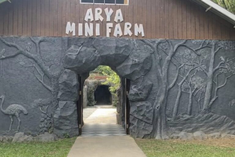 Nikmati Hari Libur di Rumah Ulin Arya, Pengunjung Senang Bisa Bertemu Berbagai Satwa