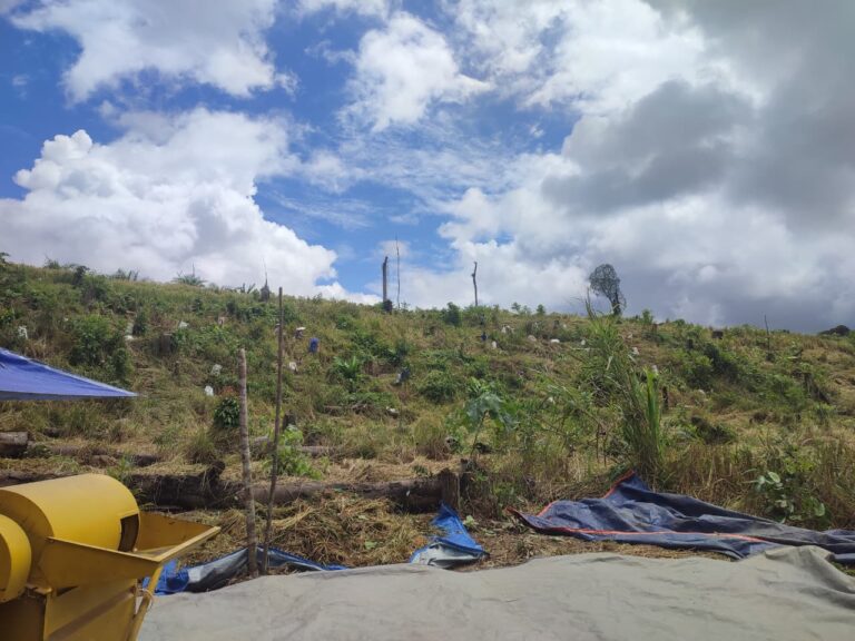 Petani Padi Gunung Long Pejeng Bertahan dengan Cara Tradisional di Tengah Tantangan Zaman