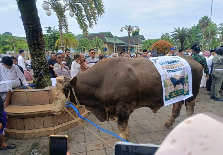 Islamic Center Samarinda Siapkan 1.500 Kupon Daging Kurban untuk Masyarakat