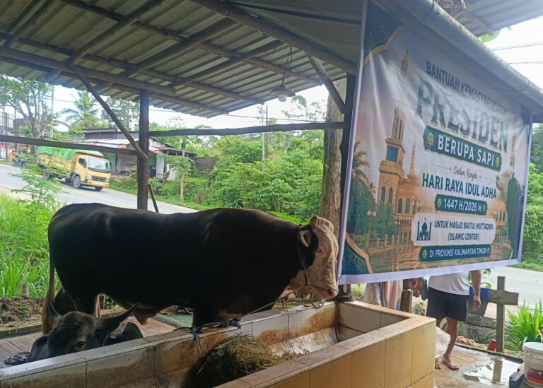 Sempat Ditawar Pengusaha, Bejo Asal Samarinda Ini Akhirnya Dipilih Jadi Kurban Presiden