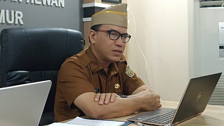 DPKH Kaltim Pastikan Stok Hewan Kurban Aman, Ketersediaan Capai 28 Ribu Ekor