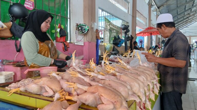 Menelusuri Harga Kebutuhan Pokok di Pasar Sigiri, Harga Ayam Merangkak Naik, Plastik Justru Turun