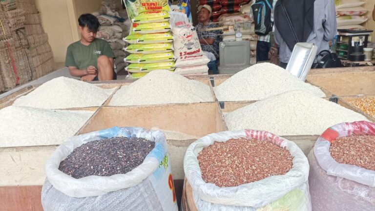 Tren Kenaikan Mulai Terlihat, Harga Beras Pasar Segiri Masih Stabil