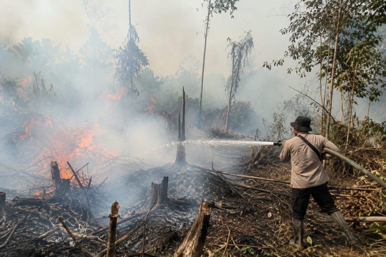 Musim Kemarau Bergeser, Kaltim Waspadai Lonjakan Karhutla hingga November