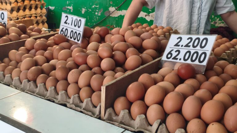 Efek Permintaan MBG Mulai Terasa, Harga Telur Ayam Ras Mulai Naik