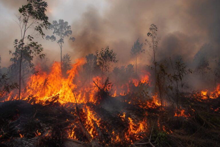 BMKG Catat 78 Titik Panas di Kaltim, Puncak Kemarau Diprediksi Terjadi Agustus