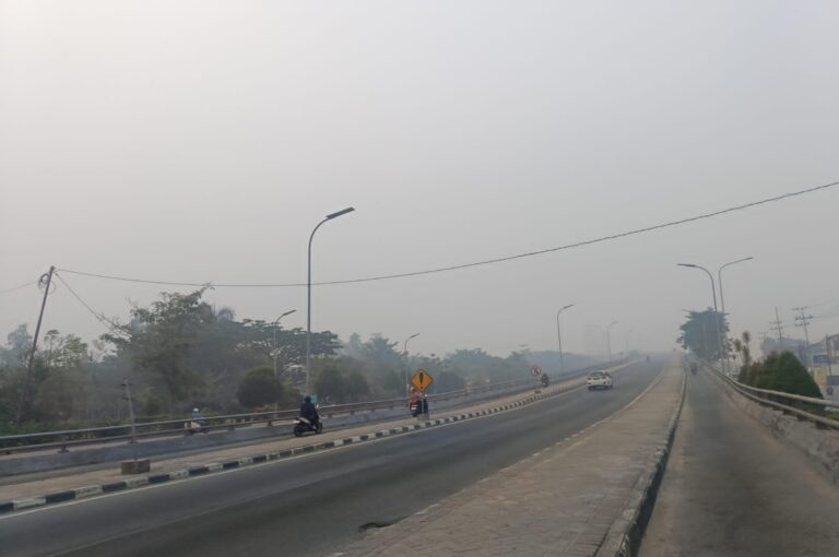 Kabut Asap Karhutla