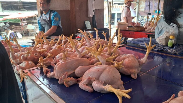 Harga Ayam Potong di Pasar Samarinda Masih Tinggi, Capai Rp60 Ribu