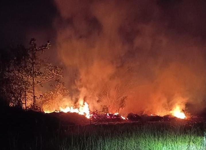 Kaltim Mulai Masuk Prioritas Karhutla Nasional, Luasan Terbakar Capai 6.333 Hektare Karhutla Kaltim