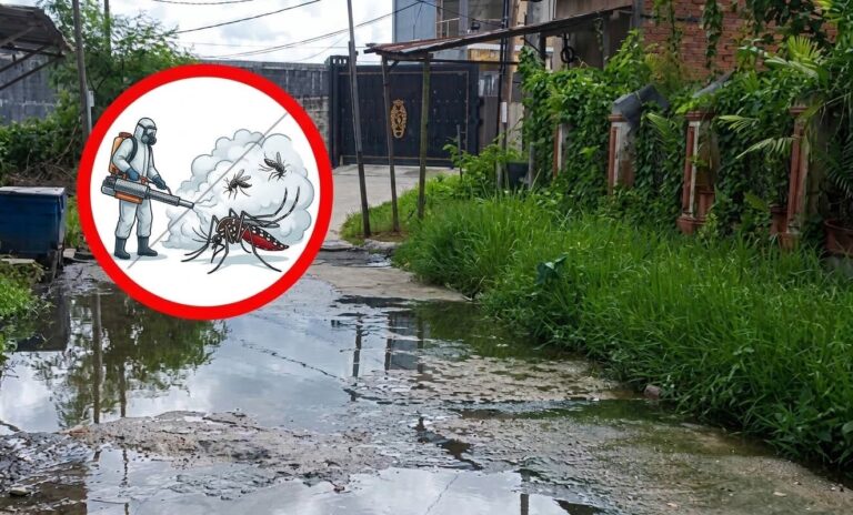 Waspada DBD Saat Musim Hujan, Puncak Kasus Kaltim Diprediksi Awal Tahun