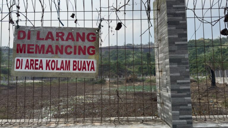 Seluruh Buaya Muara di Taman Satwa Palaran Direlokasi, Kolam Kini Kosong